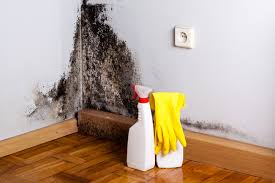 Best Industrial Mold Remediation  in Morganville, NJ